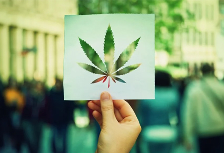 Top 4 Cannabis Trends to Look for 
