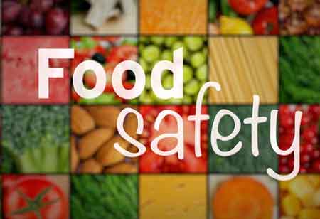 What are the Approaches to Overcome the Adverse effects of EC on Food Safety?