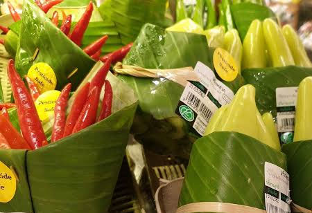 Can Banana Plants be Used as a Packaging Alternative?