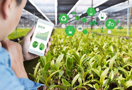 How AR and VR Fuel Food Safety