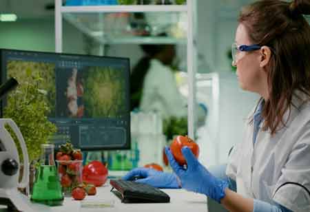 Edible Sensors and the Rise of Zero-Waste Food Packaging in Europe