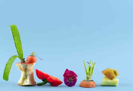 The Environmental Impact of Food Waste Disposal