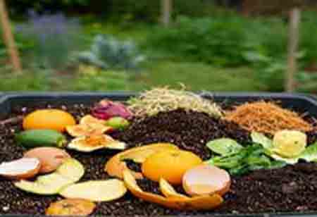 The Ultimate Guide to Efficient Food Waste Management Trends