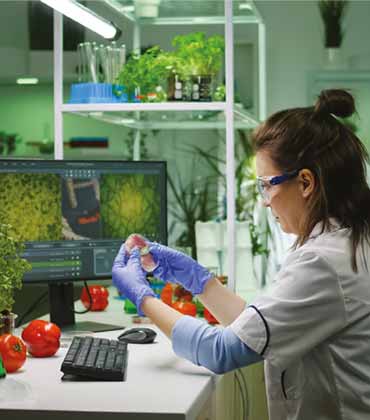 Embracing New Technologies in Shrimp Farming