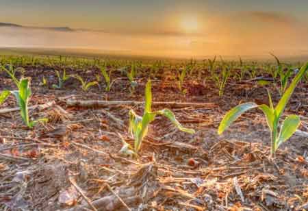 Food Safety and Operational Efficiency as Pillars of a Sustainable Industry