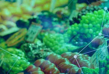 Food and Beverage Marketing Developments to Monitor in Coming Years
