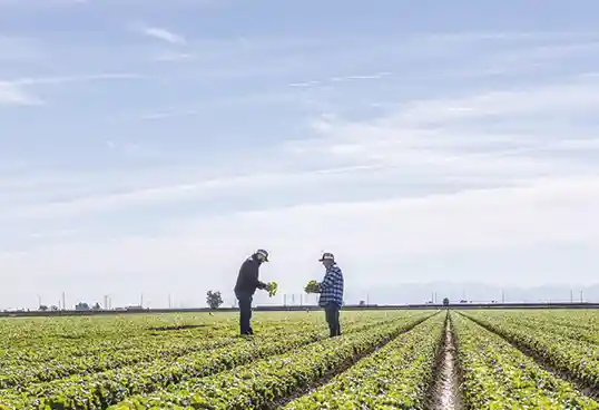 No Standard, No Problem -Setting Limits on Processes