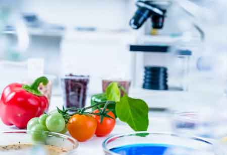 Advancements of Digital Transformation in the Food Industry