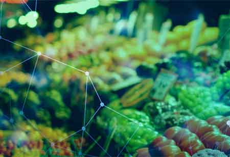 Transforming the Food Service Industry with Smart Kitchens and IoT